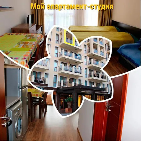 Apartment Golden Line Studio